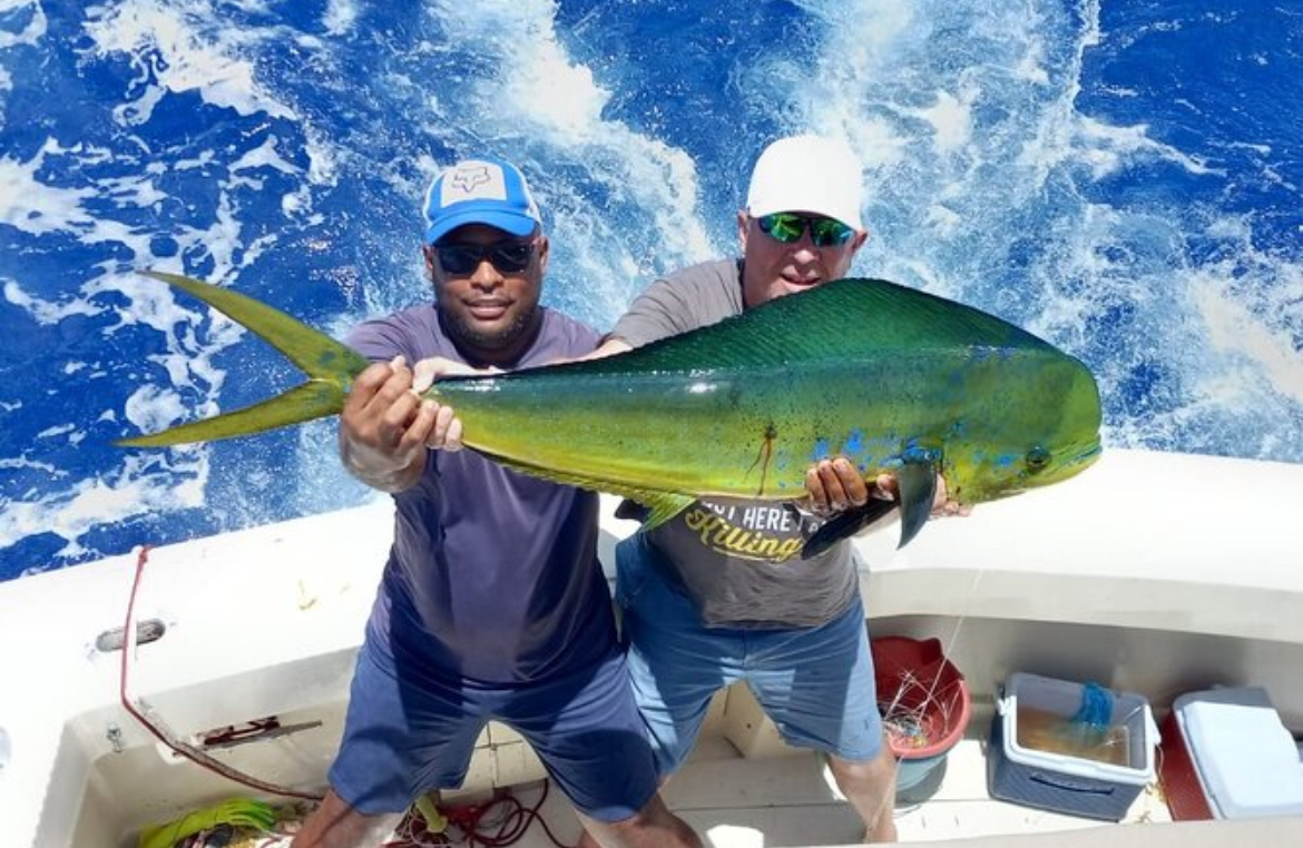Vive la Pesca en Alta Mar en punta cana
